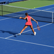 Illustration for article titled The Reveal Re-Centering of the Narrative - US Open Open Thread: Aftermath 2018 Grand Slam Year In Review